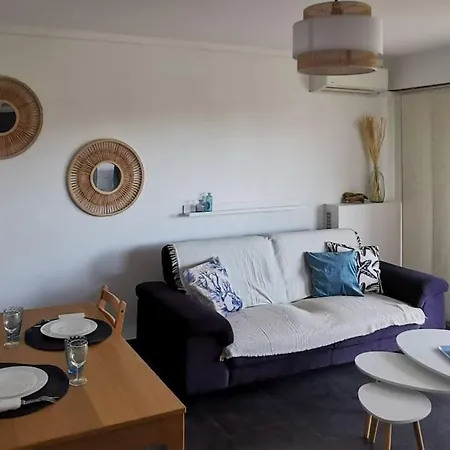 Spacieux 2 Pieces Avec Terrasse, Clim Et Parking Apartment Antibes