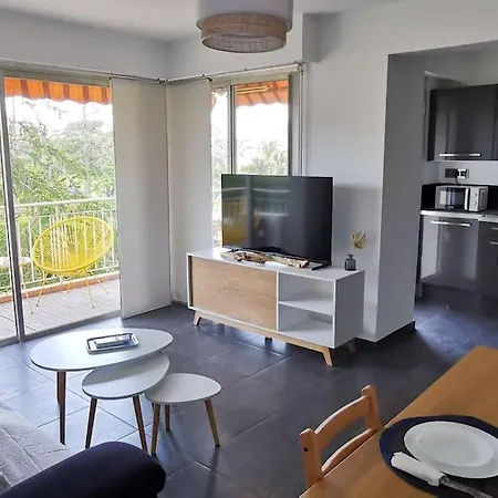 Apartment Spacieux 2 Pieces Avec Terrasse, Clim Et Parking Antibes